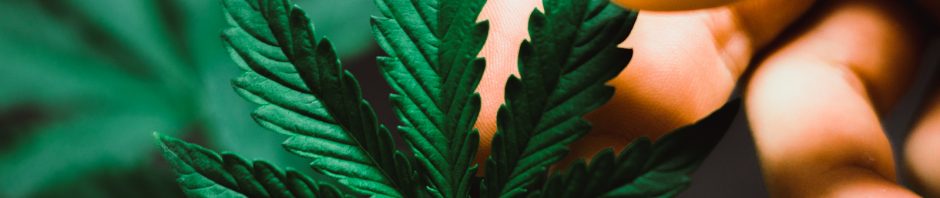 Marijuana Possession Lawyer 317-636-7514