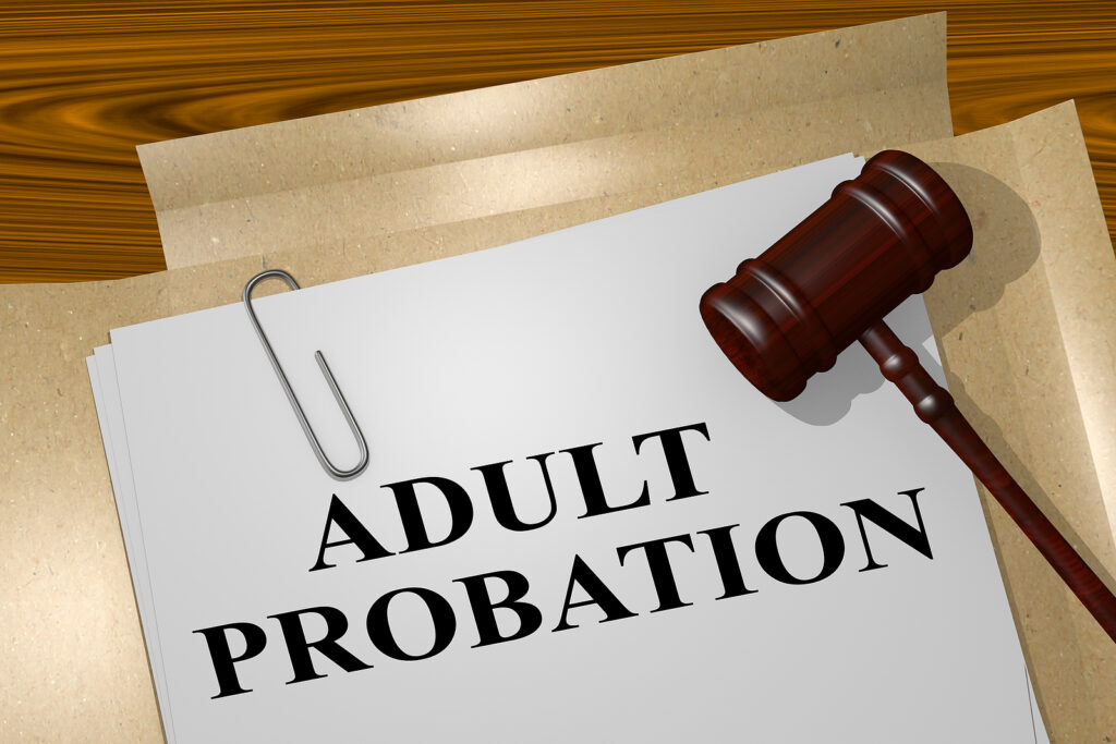 Navigating the Probation Process