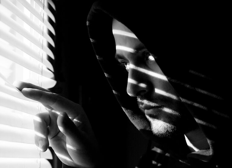 Safely Surrender A Fugitive S Guide To Turning Yourself In